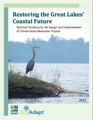 Restoring the Great Lakes' Coastal Future - Technical Guidance for the Design and Implementation of Climate-Smart Restoration Projects