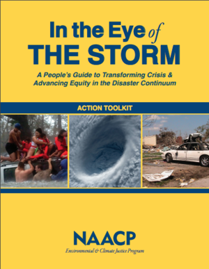 In the Eye of the Storm: A People's Guide to Transforming Crisis and Advancing Equity in the Disaster Continuum