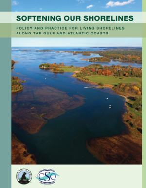 Softening Our Shorelines: Policy and Practice for Living Shorelines Along the Gulf and Atlantic Coasts