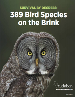 Survival by Degrees: 389 Bird Species on the Brink