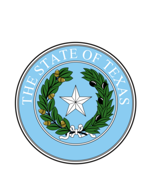Texas Summer Camp Safety Acts: SB 1, HB 1, SB 3