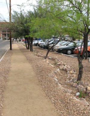 Community-Based Conservation in Tucson&rsquo;s Rincon Heights Neighborhood