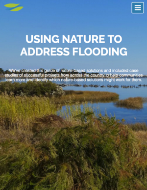 Using Nature to Address Flooding - Naturally Resilient Communities Website