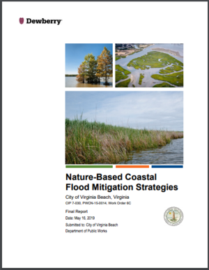 City of Virginia Beach - Nature-Based Coastal Flood Mitigation Strategies