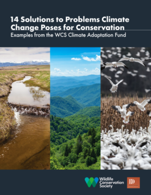 14 Solutions to Problems Climate Change Poses for Conservation - Examples from the WCS Climate Adaptation Fund