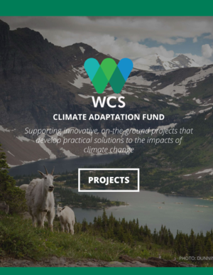 Wildlife Conservation Society Climate Adaptation Fund