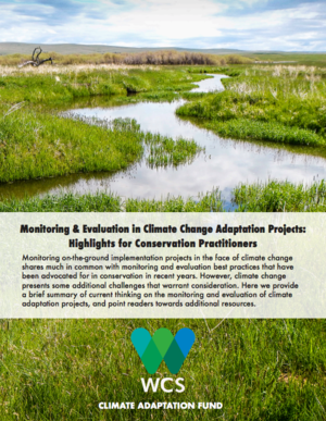 Monitoring and Evaluation in Climate Change Adaptation Projects: Highlights for Conservation Practitioners