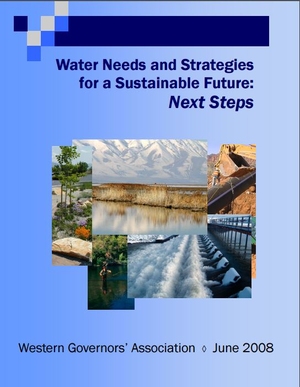 Water Needs and Strategies for a Sustainable Future: Next Steps