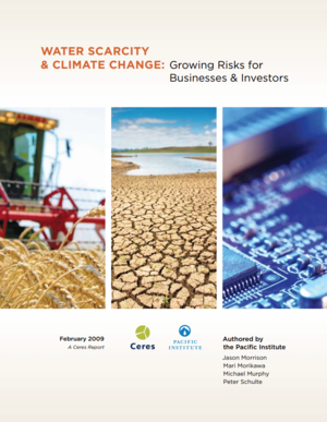 Water Scarcity and Climate Change: Growing Risks for Businesses and Investors