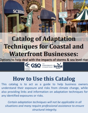 Catalog of Adaptation Techniques for Coastal and Waterfront Businesses: Options to Help Heal with the Impacts of Storms and Sea Level Rise