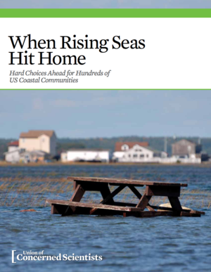 When Rising Seas Hit Home