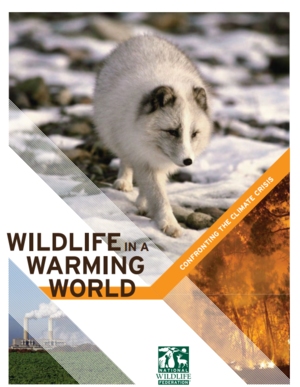 Wildlife in a Warming World: Confronting the Climate Crisis