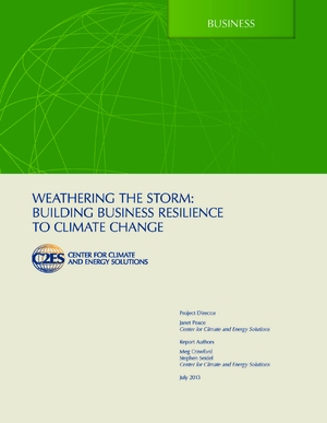 Weathering the Storm: Building Business Resilience to Climate Change
