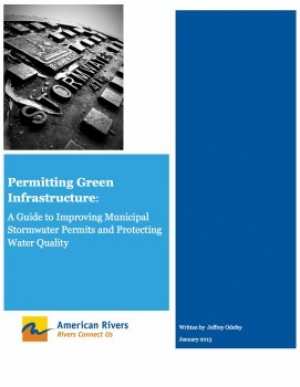 Permitting Green Infrastructure: A guide to improving municipal stormwater permits and protecting water quality