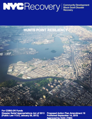 Designing new models of energy distribution: Hunts Point Community Microgrid, New York City