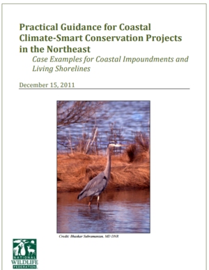 Practical Guidance for Coastal Climate Smart Conservation Projects in the Northeast