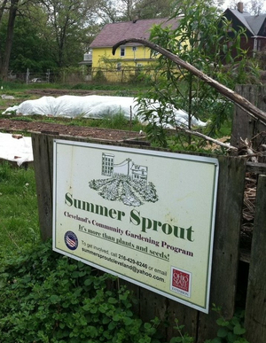 Summer Sprout Program - Cleveland, Ohio