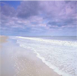 Sea Level Rise and Global Climate Change:  A Review of Impacts to U.S. Coasts