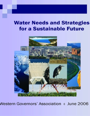 Water Needs and Strategies for a Sustainable Future
