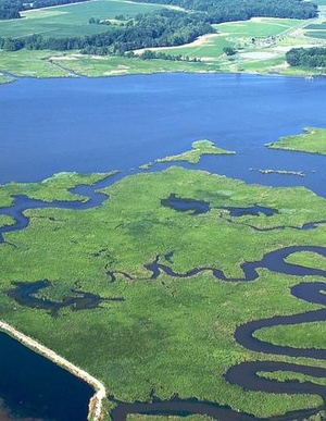 Clean Rivers, Green District Agreement
