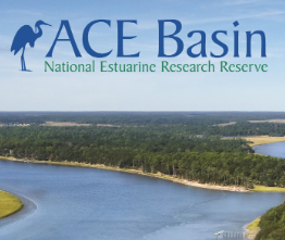 ACE Basin National Estuarine Research Reserve