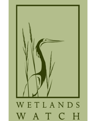 Wetlands Watch