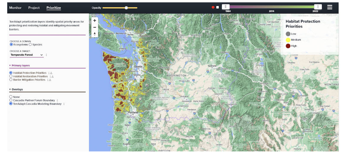 Example of TerrAdapt:Cascadia tool that utilizes Ecosystems as a domain, Habitat Protection Priorities as a primary layer, and TerrAdapt:Cascadia Modeling Boundary as an overlay. This map demonstrates the ecosystems that are most in need of protection priority in the Cascadia region.